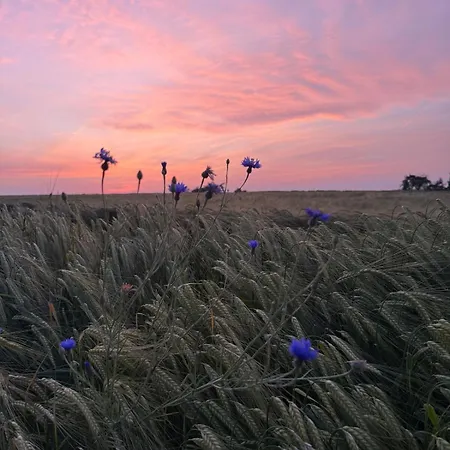 Suesse Einliegerwohnung Mit Garten * Neuffen
